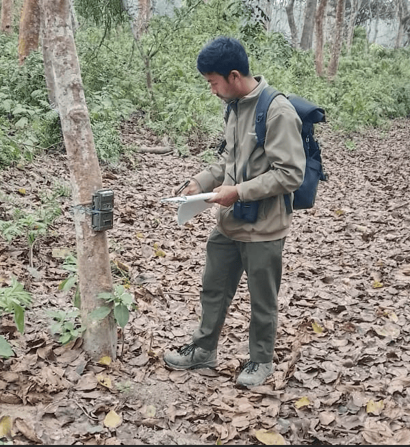 Nepal Tiger Trust Strengthens Collaboration in National Tiger Survey Across the Chitwan–Parsa Complex