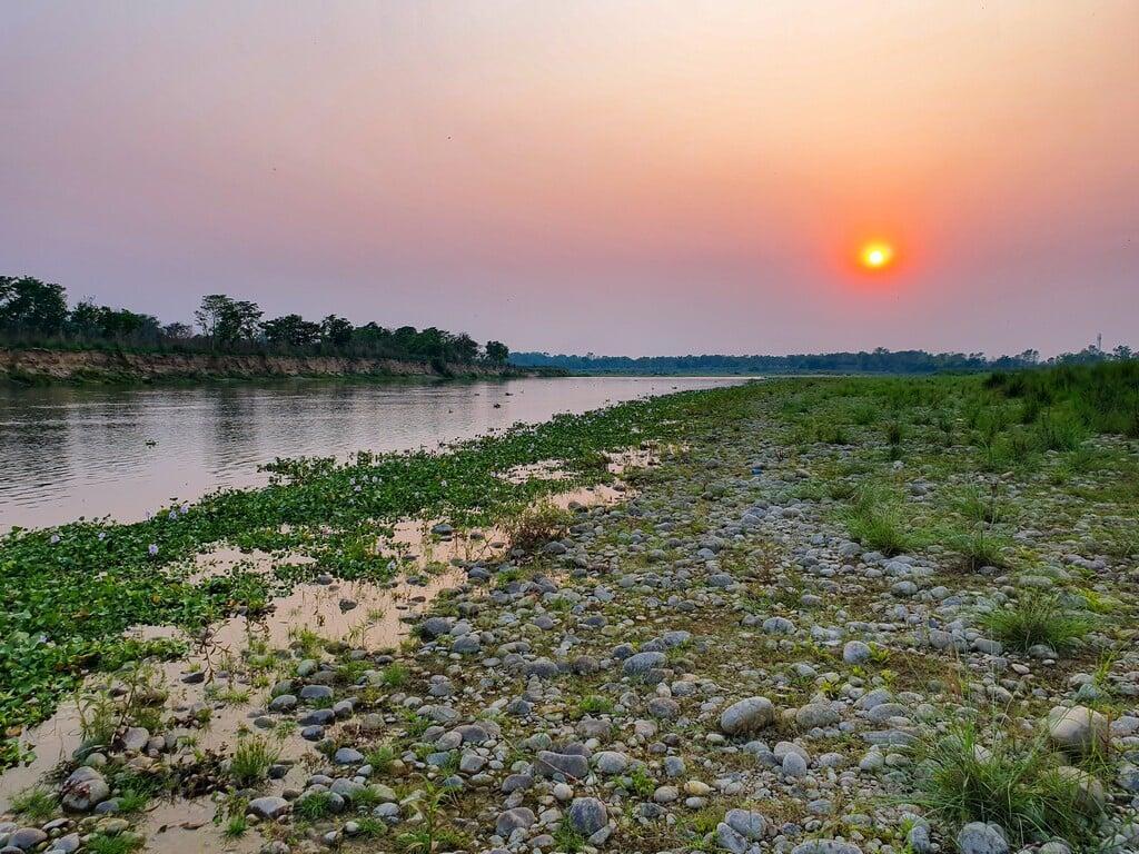 Volunteering for the Second Time with Nepal Tiger Trust