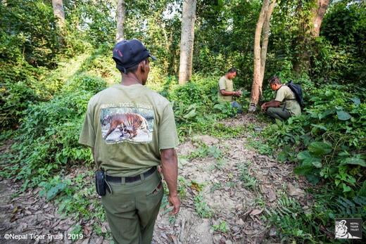 Nepal Tiger Trust field technicians